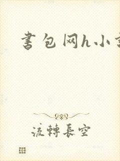 书包网h小说