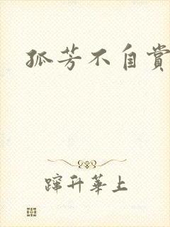 孤芳不自赏小说封面