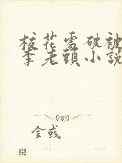 校花处破被灌满李老头小说封面