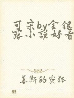 可宋by金银花露小说好看吗封面