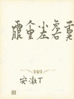 两个小兔子在衣服里左右晃