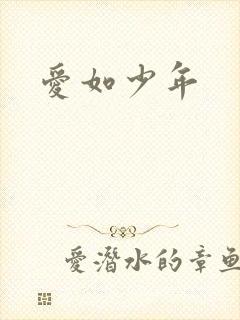 爱如少年封面