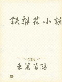 铁梨花小说