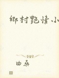 乡村艳情小说封面