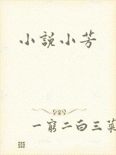 小说小芳