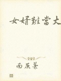 女婿难当大结局