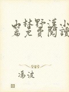 山林野汉小说全篇免费阅读