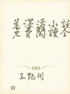 叶泽涛小说全文免费阅读全文封面