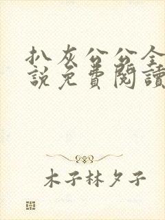 扒灰公公全部小说免费阅读全文封面