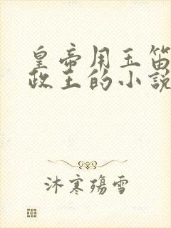 皇帝用玉笛整摄政王的小说封面