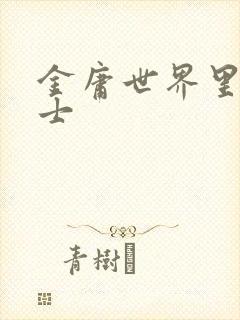 金庸世界里的道士封面