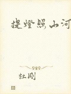 提灯照山河封面