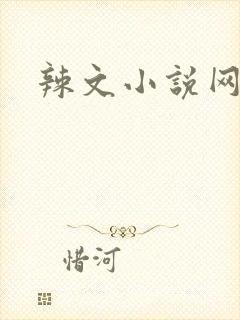 辣文小说网封面