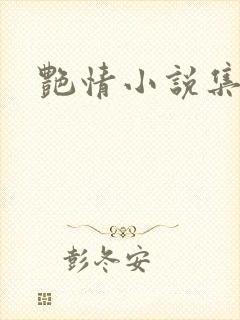 艳情小说集封面