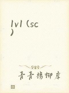 1v1 (sc)封面
