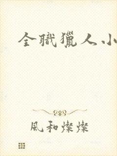 全职猎人小说封面