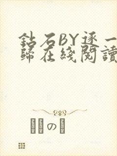 钻石BY逐一而归在线阅读