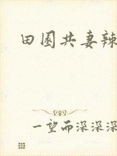 田园共妻辣封面