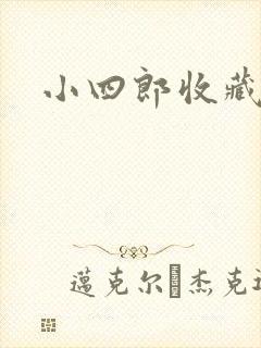 小四郎收藏家封面