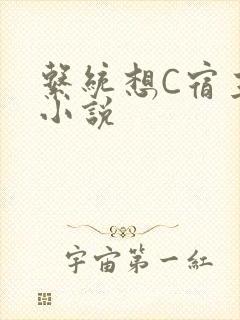 系统想C宿主的小说