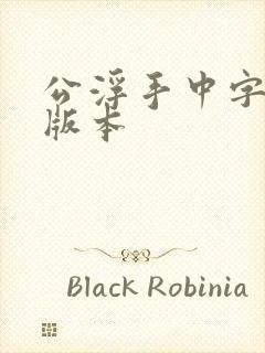 公浮手中字最新版本