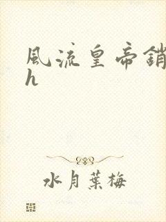 风流皇帝销魂夜h封面