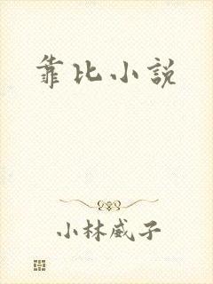 靠比小说封面