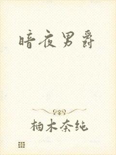 暗夜男爵封面