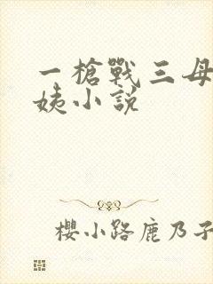 一枪战三母2雪姨小说