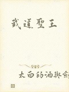 武道圣王封面