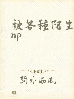 被各种陌生人 np