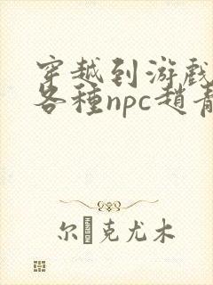 穿越到游戏里和各种npc赵青蔓封面