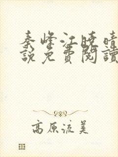 秦峰江晓晴的小说免费阅读