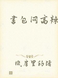 书包网高辣文