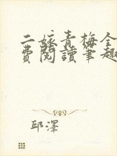 二嫁青梅全文免费阅读笔趣阁封面