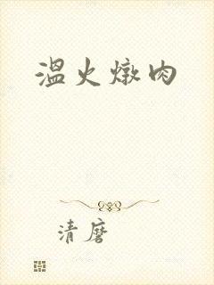 温火炖肉