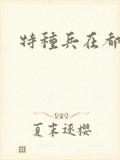 特种兵在都市