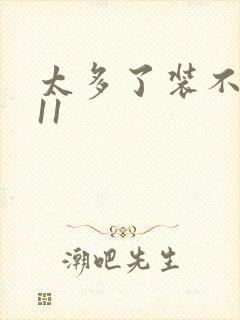 太多了装不下H11