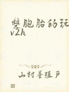 双胞胎的玩具1v2h