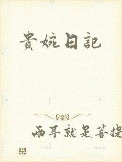 贵婉日记