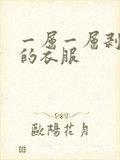 一层一层剥开我的衣服