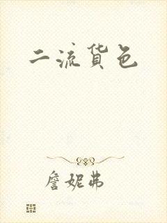 二流货色封面
