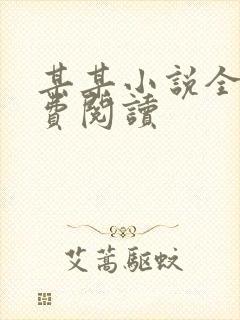 某某小说全文免费阅读