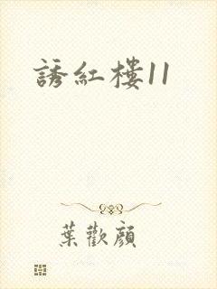 诱红楼11封面