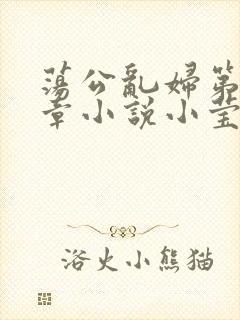 荡公乱妇第51章小说小莹封面