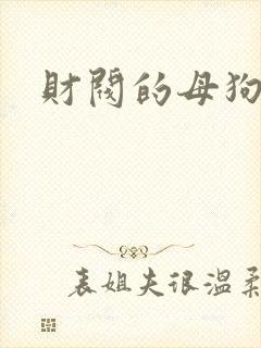 财阀的母狗们