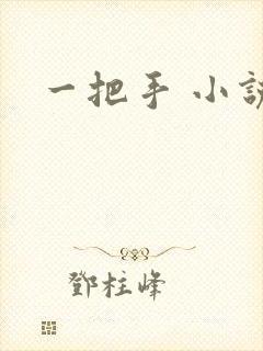 一把手 小说封面