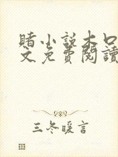 赌小说木口银全文免费阅读笔趣阁封面