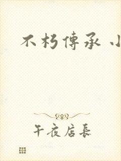 不朽传承 小说封面