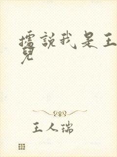 据说我是王的女儿封面